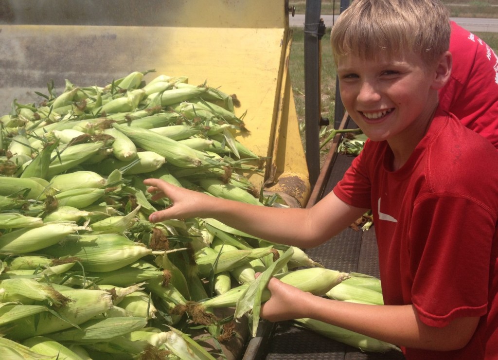 Taste Tested and Mother Approved