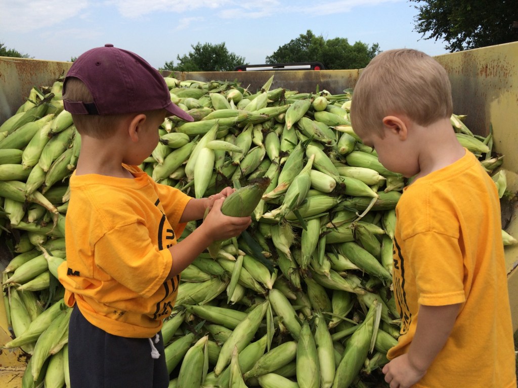Cousins and Corn