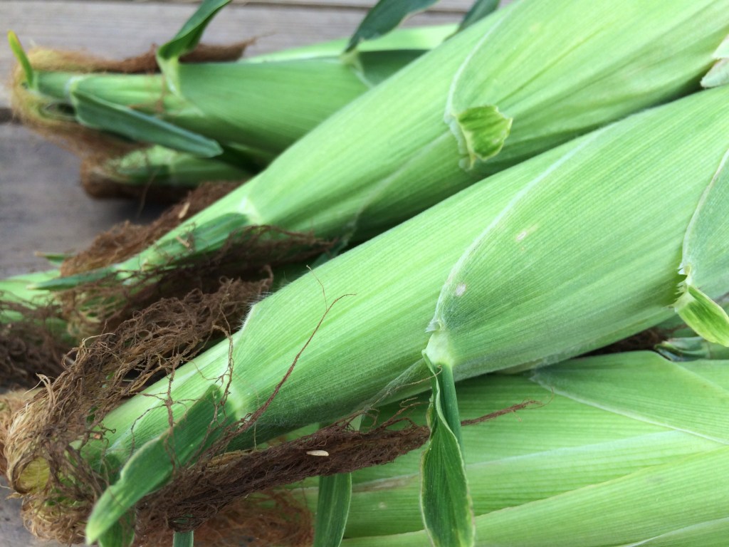 Sweet Corn on&nbsp;Friday