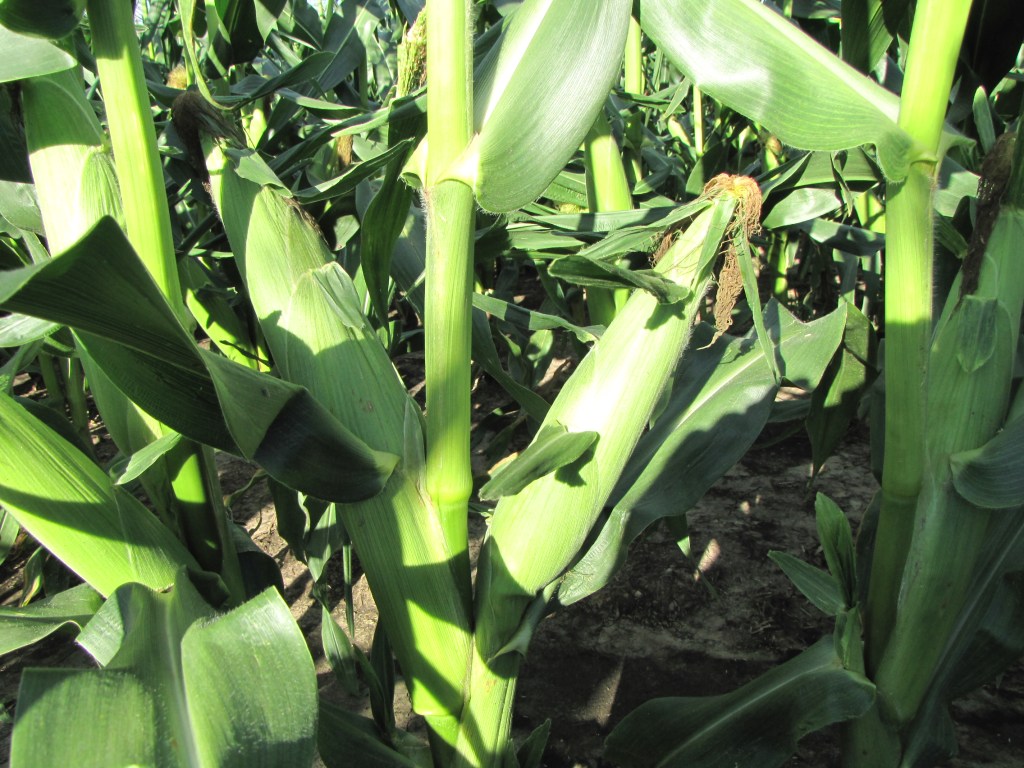 There has been a change in plans