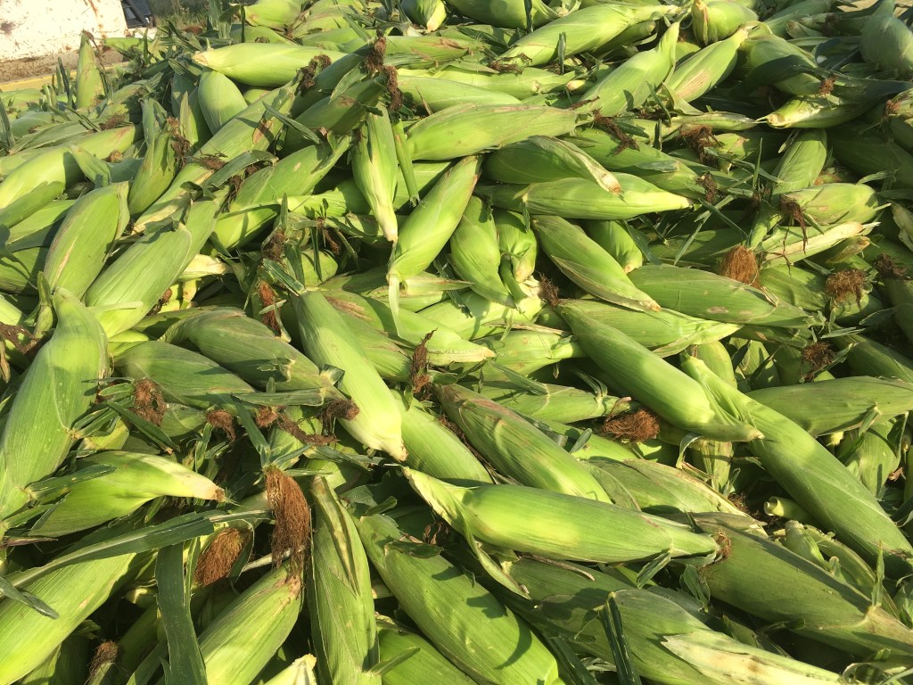 Change of Plans – It’s Go&nbsp;Time!