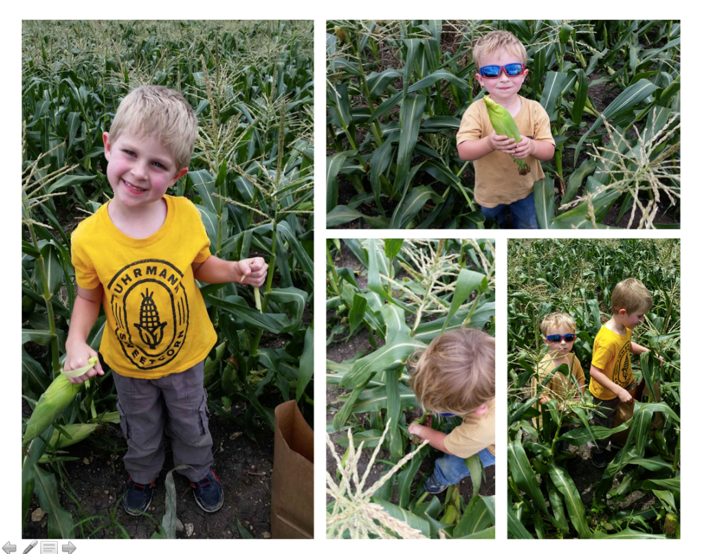 Handpicked with Care