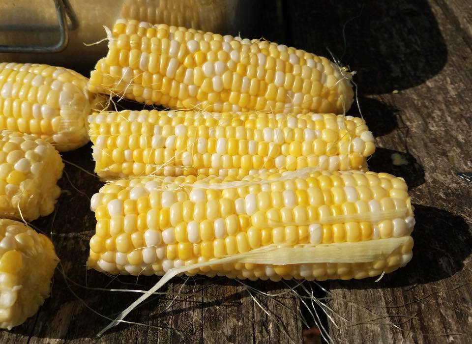 It’s A Sweet Saturday After&nbsp;All