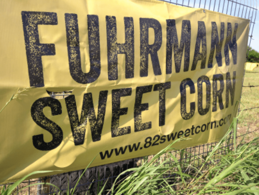 Sweetest Opening Day&nbsp;Ever!