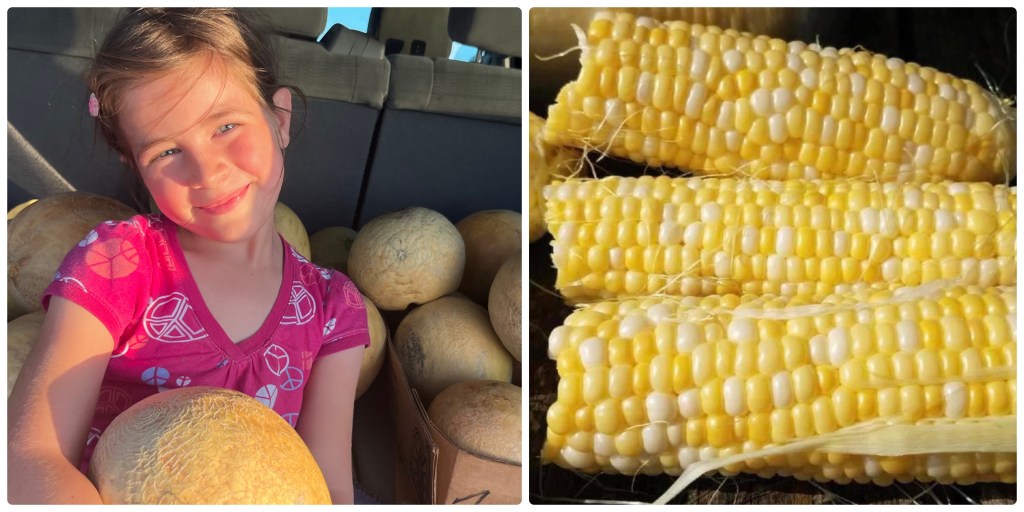 Sweet Corn & Some Cantaloupe